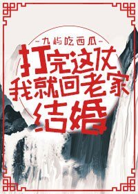 《打完这仗我就回老家结婚》