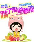 《酷宝:踹了黑道爹地》