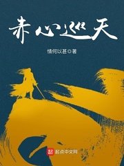 《赤心巡天》