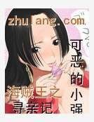 《海賊王之尋親記》