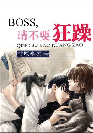 《BOSS,請不要狂躁》