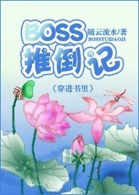 《boss推倒记》