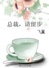 《總裁,請留步》