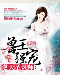 《獸王強寵:逆天聖靈師》