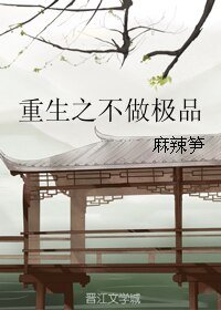 《重生之不做极品》