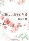 《紅樓之小皇子奮鬥記》