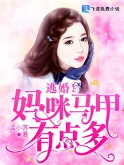 《逃婚!妈咪马甲有点多》