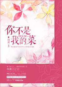《你不是我的菜【娱乐圈】》