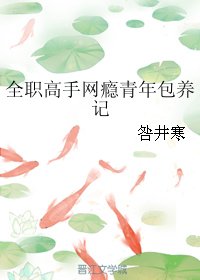《(BG/全職同人)全職高手網癮青年包 養記》