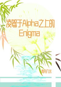 《凌驾于Alpha之上的Enigma》