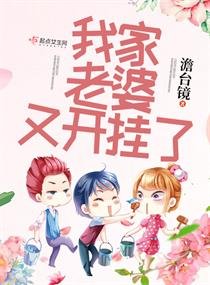 《我家老婆又開掛了》