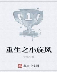 《重生之小旋風》