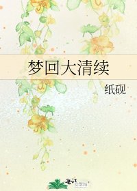 《梦回大清续》