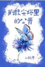 《荊棘尖塔裡的公爵》