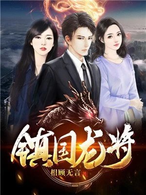 《鎮國龍將陳奇》