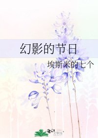 《幻影的节日》