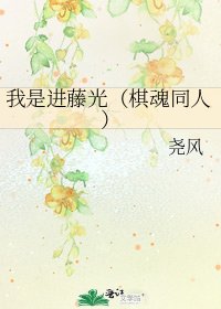 《我是進藤光(棋魂同人)》