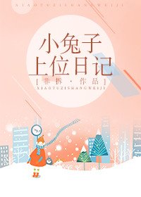 《小兔子上位日记》