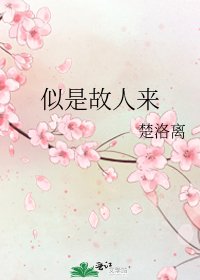 《似是故人來》
