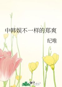 《中韓娛不一樣的鄭爽》