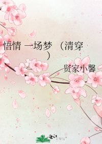 《悟情 一場夢 (清穿)》