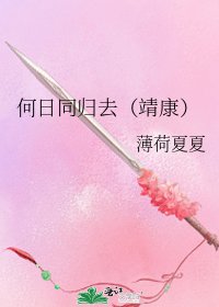 何日同归去(靖康)