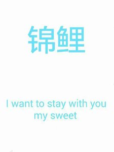 《锦鲤》