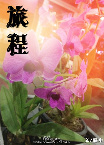 《旅程》