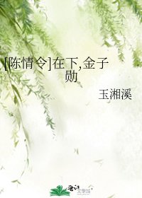 [陈情令]在下,金子勋