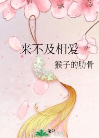来不及相爱