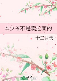本少爺不是賣拉麪的