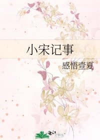 《小宋記事》