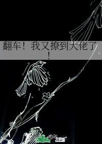 《翻車!我又撩到大佬了!》