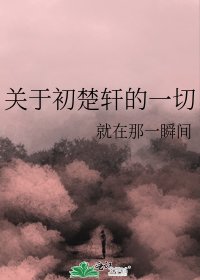 《關於初楚軒的一切》