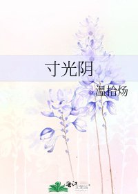 《寸光陰》