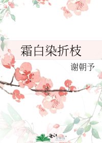 《霜白染折枝》