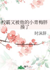 《校霸又被他的小青梅胖揍了》