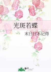 《光斑若蝶》