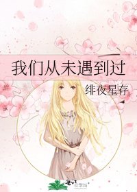 《我們從未遇到過》