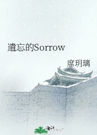 《遺忘的Sorrow》
