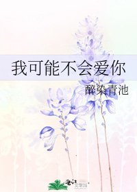 我可能不会爱你
