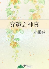 《穿越之神真》