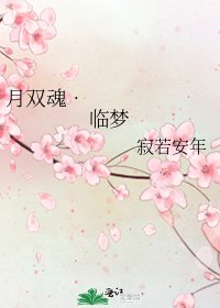 《月雙魂•臨夢》