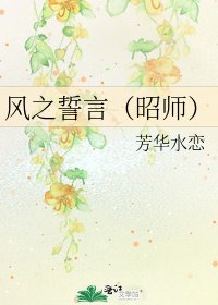 《风之誓言(昭师)》