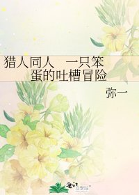 《獵人同人 一隻笨蛋的吐槽冒險》
