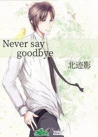 《Never say goodbye》