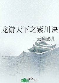 《龍游天下之紫川訣》