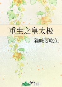 《重生之皇太極》