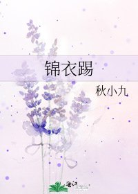 《锦衣踢》