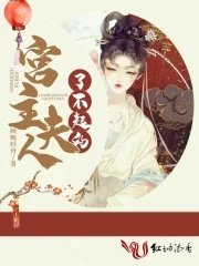 《了不起的宫主夫人》